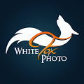 Фотостудия «WhiteFox» - фотограф Красногорска