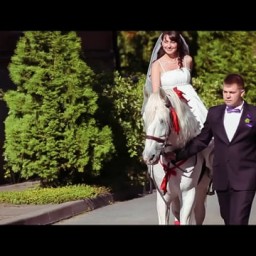 Видео #444741, автор: Игорь Лютин