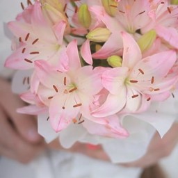 Видео #614745, автор: Арслан Ситдиков