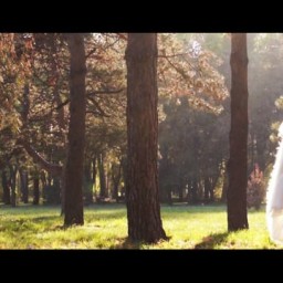 Видео #163725, автор: Константин Алимов