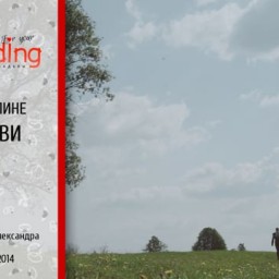 Видео #489565, автор: Артем Артемов