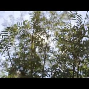 Видео #489638, автор: Тренд Медиа