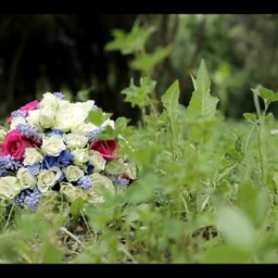 Видео #424784, автор: Денис Ремизов