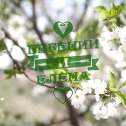 Видео #52887, автор: Видеостудия Фиеста