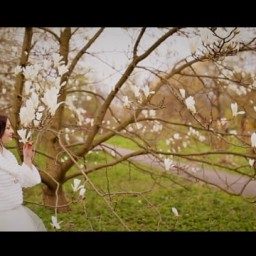 Видео #122934, автор: Виктор Рыбинцев