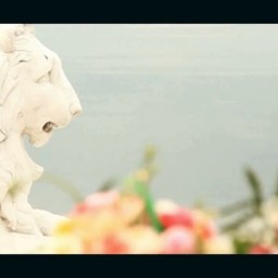 Видео #123007, автор: Денис Череухо