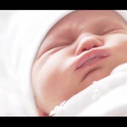 Видео #718184, автор: Мегаполис продакшн