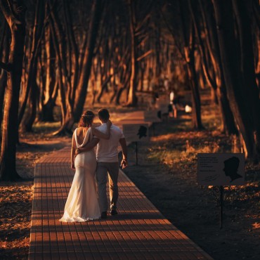 Фотография #724797, свадебная фотосъемка, автор: Александр Ростемберский