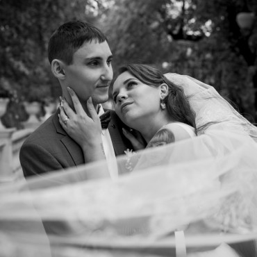 Фотография #726246, свадебная фотосъемка, автор: Людмила Нестерова