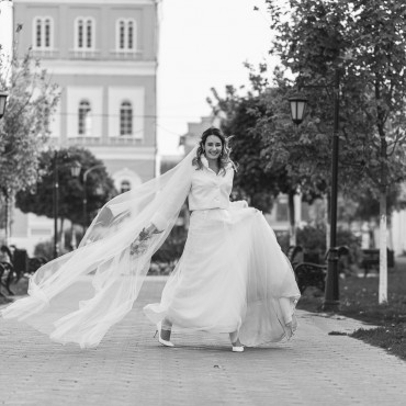 Фотография #728424, свадебная фотосъемка, автор: Владимир Васильев