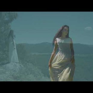 Видео #732068, автор: Денис Вершинин 