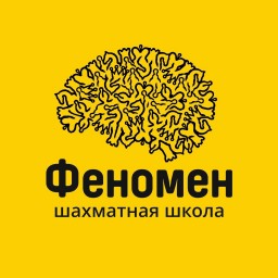 Шахматная школа Феномен  - Фотостудия Челябинска