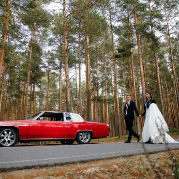Фотография #739111, свадебная фотосъемка, автор: Алексей & Екатерина Крыловы