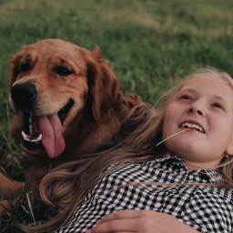 Видео #742538, автор: Юлия Ермакова