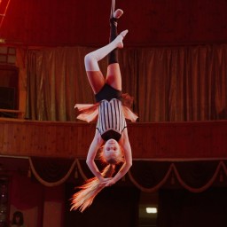 Видео #742539, автор: Юлия Ермакова