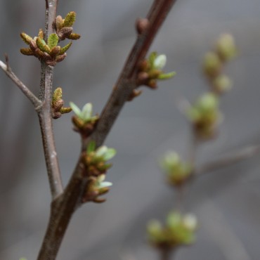 Фотография #747735, автор: Вера Солондаева Фотография #747735, предметная фотосъемка, автор: Вера Солондаева