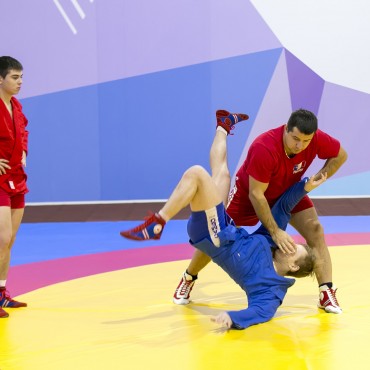 Фотография #750173, , автор: Аркадий Боровский