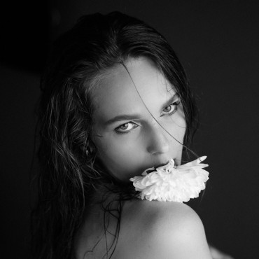 Фотография #753458, автор: Анна  Винокурова Фотография #753458, , автор: Анна  Винокурова