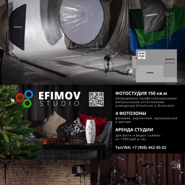 Фотография #756540, автор: Efimov Studio 