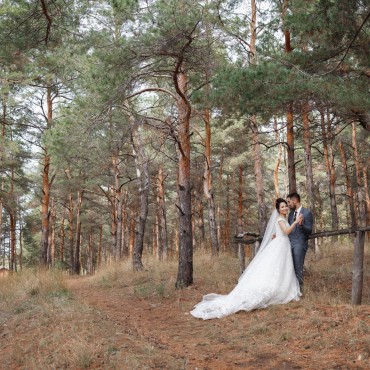 Фотография #764441, свадебная фотосъемка, автор: Светлана Канаева