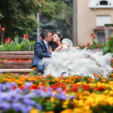 Фотография #775794, свадебная фотосъемка, автор: Владимир Епишев