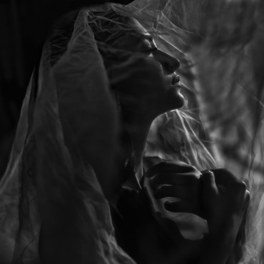 Фотография #776294, свадебная фотосъемка, автор: Шамиль Акаев