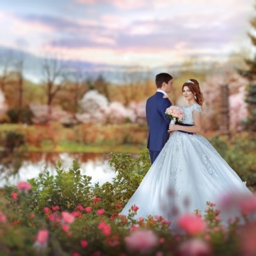 Альбом: Свадебная фотосъемка, 5 фотографий Альбом: Свадебная фотосъемка, 5 фотографий