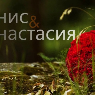 Альбом: Свадебная фотосъемка, 5 фотографий