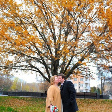 Фотография #779980, свадебная фотосъемка, автор: Алексей Шибаршин