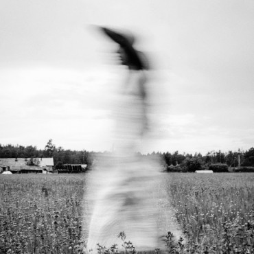 Альбом: Свадебная фотосъемка, 5 фотографий