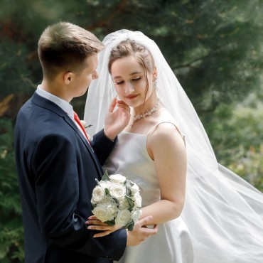 Фотография #811893, автор: Светлана Абрамова