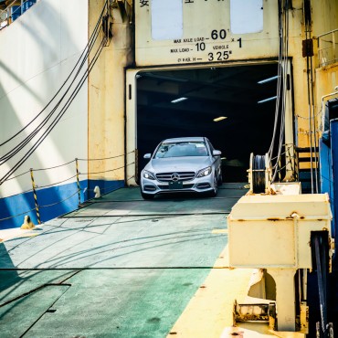 Фотография #811999, автор: Татьяна Терехина