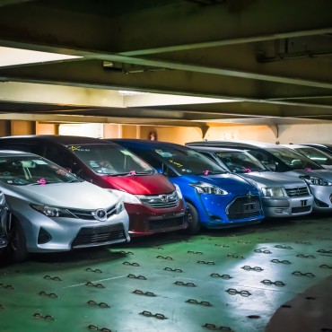 Фотография #811998, автор: Татьяна Терехина