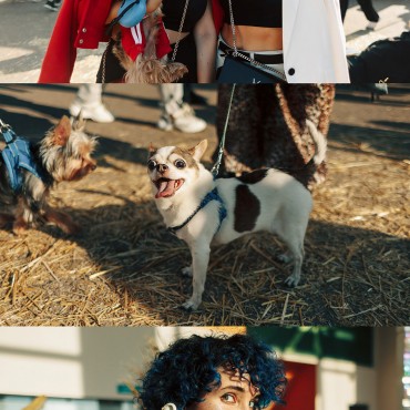 Фотография #812026, автор: Булат Рахимов