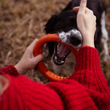 Фотография #812218, выездная фотосъемка, автор: Иван Волохов