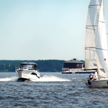 Фотография #812415, автор: Алексей Воронин