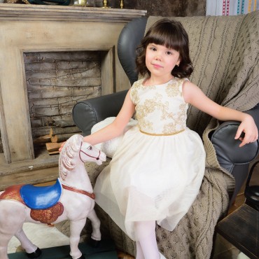 Фотография #812497, автор: Алексей Чистополов