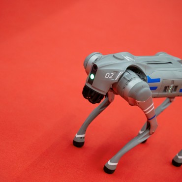 Фотография #812707, автор: Руслан Яроцкий