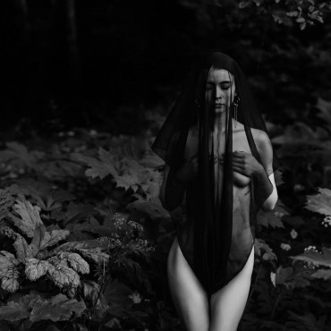 Фотография #812840, автор: Олег Р