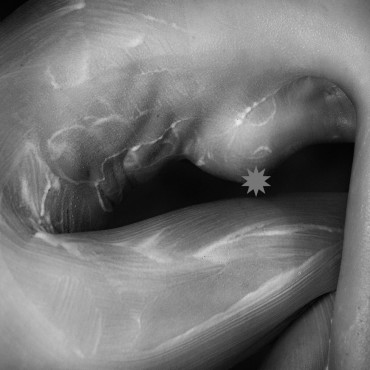 Фотография #812832, автор: Олег Р