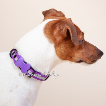 Фотография #812990, автор: Наталия Китаева