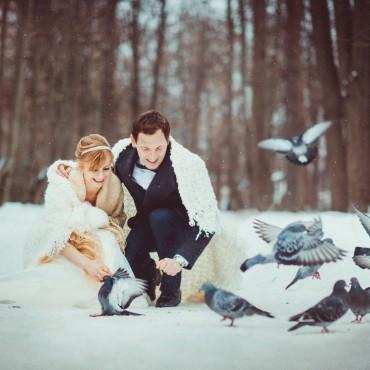 Фотография #503349, свадебная фотосъемка, автор: Елена Кострица
