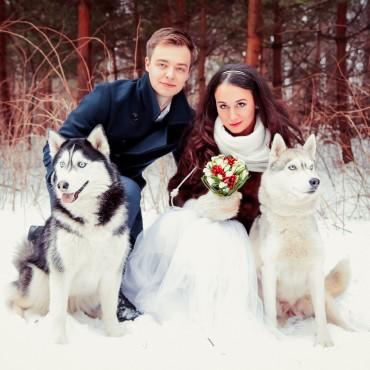 Фотография #515461, свадебная фотосъемка, автор: Катерина Воробьева