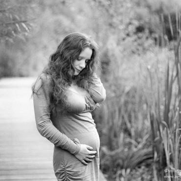 Фотография #514079, фотосъемка беременных, автор: Андрей Морковкин
