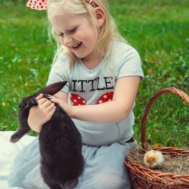Фотография #508633, автор: Екатерина Никифорова Фотография #508633, автор: Екатерина Никифорова