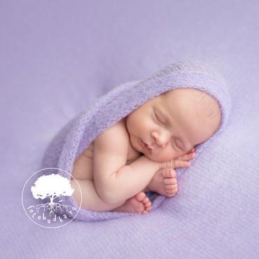 Фотография #508717, автор: Фотостудия для новорожденных 