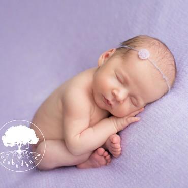 Фотография #508718, автор: Фотостудия для новорожденных 