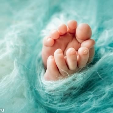 Фотография #508747, , автор: Фотостудия для новорожденных 