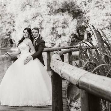 Фотография #508989, свадебная фотосъемка, автор: Ирина Калинина