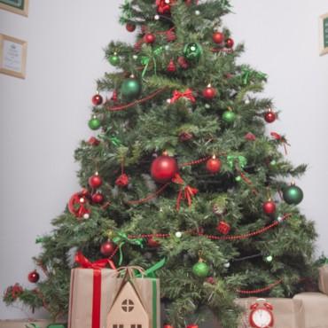 Фотография #509337, , автор: 22up_studio 